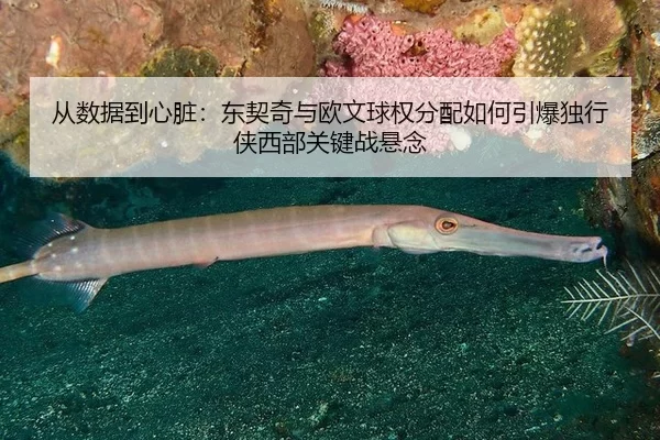cong-shu-ju-dao-xin-zang-dong-qi-qi-yu-ou-wen-qiu-quan-fen-pei-ru-he-yin-bao-du-xing-xia-xi-bu-guan-jian-zhan-xuan-nian-1-382.jpg